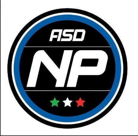 NOVA PONG Logo
