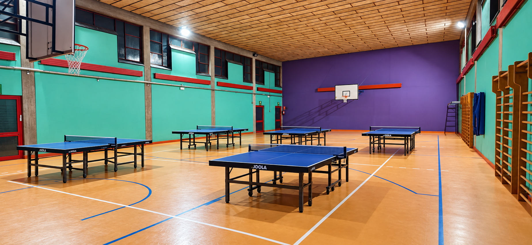 Palestra della Scuola Boito a Padova, sede ufficiale per le partite
